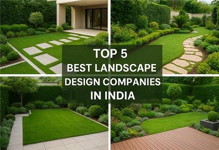 Top 5 Best Landscape Design Companies in India