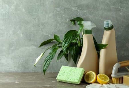 Eco-friendly Cleaning Product Brand Cleevo Nets $1 Million Fund