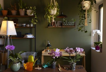 New Home Decor Arrivals